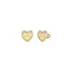 Guess Amami JUBE04035JWYGT-U Earrings Stainless Steel, Stainless Steel