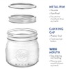 Tebery 12 Pack Wide Mouth Home Glass Mason Jars with