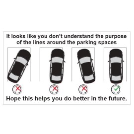 Sand Dollar Sales Bad Parking Business Cards pack of 50 BC02