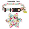ADOGGYGO ADOGGYGO Easter Cat Collars with Removable Flower Bell, Adjustable