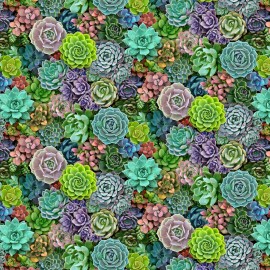 Elizabeth's Studio Landscape Medley Small Packed Succulent 100% Cotton Fabric by The Yard