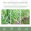 PHATOIL Aroma Oil Lemongrass Essential Oil 100ml Lemongrass Essential Oil
