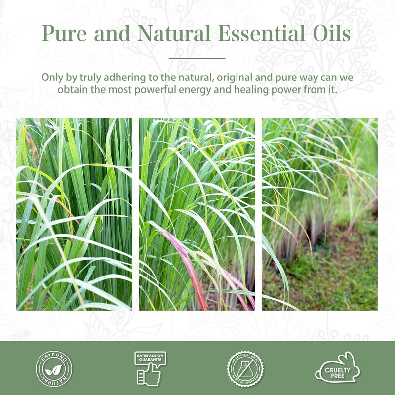 PHATOIL Aroma Oil Lemongrass Essential Oil 100ml Lemongrass Essential Oil