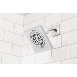 Speakman S-5002-E2 Rainier Exhilaration High Pressure Fixed Shower Head, 2 GPM, Polished Chrome