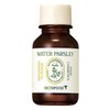 SKINFOOD Pantothenic Water Parsley Smashing Powder 15ml / 스킨푸드 판토테닉 워터 파슬리 스매싱 파우더 15ml