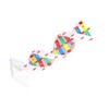 DNA Structure Model Colorful Double Spiral Assemble Model Science Educational