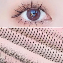 YOVOY Partial False Eyelashes, Natural, Popular, Partial False Eyelashes, Point False Eyelashes, Pine Extensions, Large Capacity, Beginners, Professionals (Bottom Eyelashes, A-Shape, Fishtail Type)