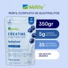 Wellthy Creatine + Electrolytes Blue Berry 350g