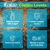 Copper Control - Natural Stain Remover for Pools and Hot
