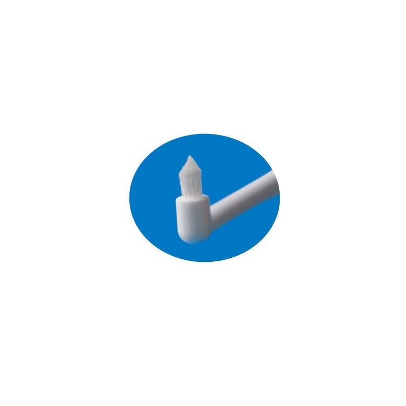 Lion Dental Material Dent EX Implant Care OT, 1 Pack