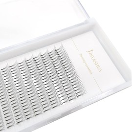 Soft Natural Premade Volume 2D Fans Eyelash Extension 0.10 Thickness 8-14mm Handmade Premade Cluster Volume Fans Faux Mink Lashes 3d (9mm, 3D-0.10-C)