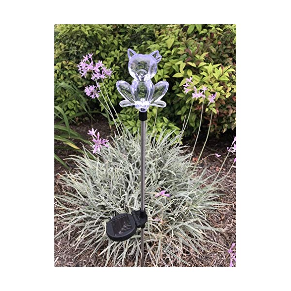 Ntertainment House Set of 1 Solar Garden Stake Lights with