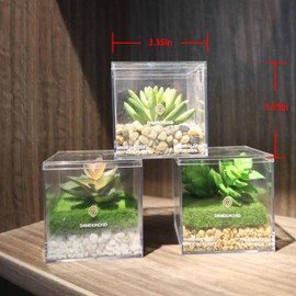 DAMEIORCHID Artificial Plants in Display Boxes, Small Plant POTS, Ideal for Indoors Decor,Small Pot,Faux Succulents in pots,Succulents Plants Artificial