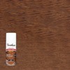 Varathane 243870 Oil-Based One Step Stain + Poly Spray, 12