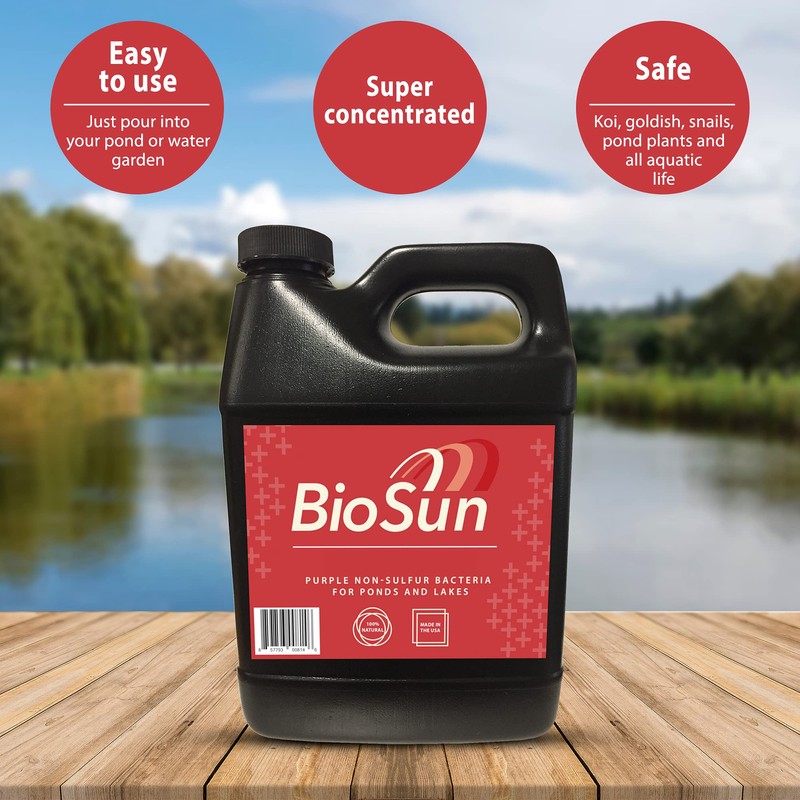 BioSun Purple Non-Sulfur Bacteria for Ponds and Lakes – Fish,