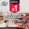 Resolve Ultra Pet Odor and Stain Remover Spray – Carpet
