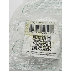 Red-White Valve Corp Red White Valve 1"  233AB - Lead Free, Brass, In-Line Check Valve