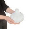 Acaino Ceramic Garlic Pot Garlic Storage with Lid and Ventilation