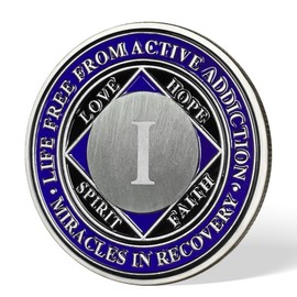 1 Year NA Medallions | Narcotics Anonymous Recovery Coins | NA Sobriety Gifts for Men & Women | Celebratory Clean Time Coin for 1-Year Anniversary | NA Chips and Recovery Medallion