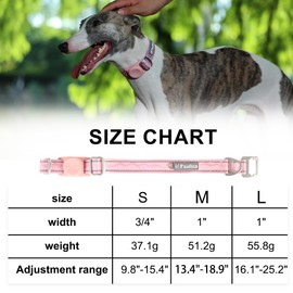PAWTICO Dog Collar with AirTag Holder, Adjustable Reflective Nylon, Aluminum Buckle, for Small Medium Large Dogs– 3 Colors (Blush Pink, S：Width 3/4",Neck 9.8"-15.4")