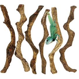Apatal Reptile Climbing Branch Decor Wood Snake Terrarium Branches 6 Pack Lizard Habitat Decorations Natural Forest Tree Trunk Ornament for Bearded Dragons Geckos Chameleons Frog (14-16 inch)