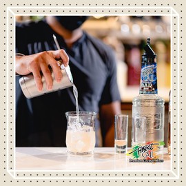 Finest Call Premium Bar/Sugar Syrup Mix, 1 Liter Bottle (33.8 Fl Oz), Pack of 6