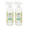 Endust Plant-based Multi-surface Dusting & Cleaning Spray, 24 Fl Oz