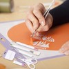 5 Pcs Vinyl Weeding Tool Set Weeder Tweezers Scraper Spatula
