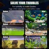 Fish Tank Water Purification Tablets, Powerful Aquarium Purification Tablet for