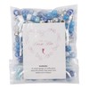 Elsa's Pony Bead Mix 200 Pieces Mixed Blue Beads Size