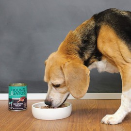 Hound & Gatos Natural Wet Dog Food, 98% Meat, Fish or Poultry Recipes, For All Life Stages, Made in the USA