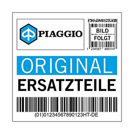 Piaggio Steering Gear Kit for Porter (B004679 & B004680), 1R000272