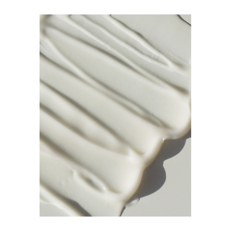 Vegetaology Viniferine Brightening Cream 50ML / 베지톨로지 비니페린 브라이트닝 크림