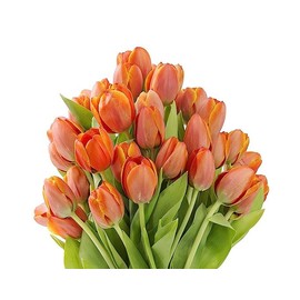 KaBloom Flowers - Valentine Collection - 30 Orange Tulips I Gift for Birthday, Anniversary, Thank You, Mother’s Day Fresh Flowers.