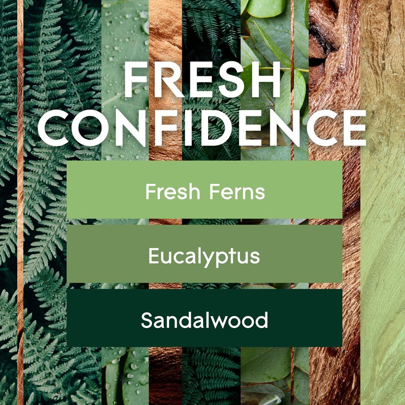 Glade PlugIns Refills Air Freshener, Fresh Confidence, Scented and Essential