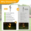 KIMHY Solar Garden Lights 2 Packs Owl Solar Lights Outdoor