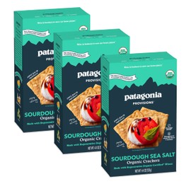 Patagonia Provisions Organic Sourdough Sea Salt Crackers (3 Pack) – 3g Plant Protein Per Serving – Made with Wheat Flour & Sea Salt – Non-GMO, No Added Sugar - Crispy & Crunchy