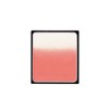 Paula B.A 3D Oasis Blush 01 [Face Color] 0.3 oz