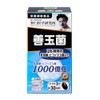 Noguchi Medical Research Center, Noguchi Supplement Series, Good Bacteria, Bifidobacteria,