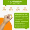CurcuminPro Complete Vegan | BioSoluble Brown Rice Protein & Organic