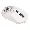 Wireless Mouse 2.4G Or BT5.1 Adjustable DPI Hollowed Out RGB