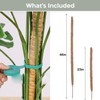 Monstera Trellis, Pack of 2 120 cm / 60 cm