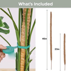 Monstera Trellis, Pack of 2 120 cm / 60 cm Moss Rod for Plants, Plant Stake Coconut Moss Stick, Monstera Rod with Accessories, Moss Rod Set for Climbing Plants, Plant Support
