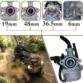 GLENPARTS PZ19 Carburetor with 35mm Air Filter Gaskets 50cc 70 90 110cc DR50 CRF XR 50 APOLLO 125cc Coolster Kazuma 110 Taotao Buyang Coolsport Redcat Peace Baja Chinese ATV Quad Go Cart Bike