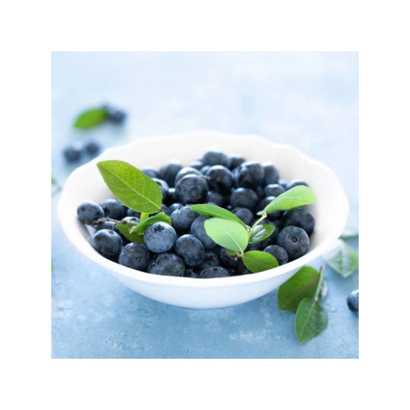 Charm goods Bilberry tablets Bilberry anthocyanin concentrated powder tablets iVision