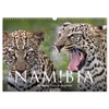 Namibia - Die Tierwelt (Wandkalender 2026 DIN A3 quer), CALVENDO