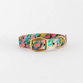 Anipal Clancy The Black Cockatoo Dog Collar - M - from Recycled Plastic Bottles