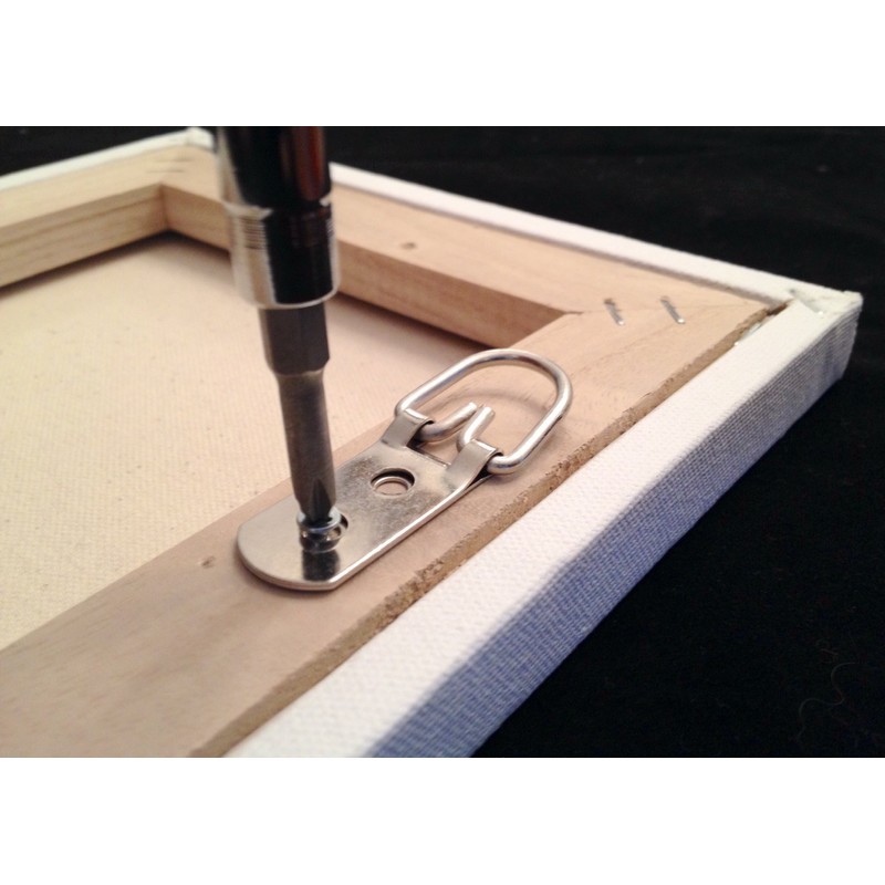 HangZ 10009 2 Hole D Ring 75lb. (2-Pack)