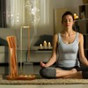 2 in 1 Incense Holder for Sticks, Anti-Ash Flying Incense