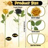 Ovveroche 24 Pcs Black,Glod Rose Artificial Flowers with Long Stem